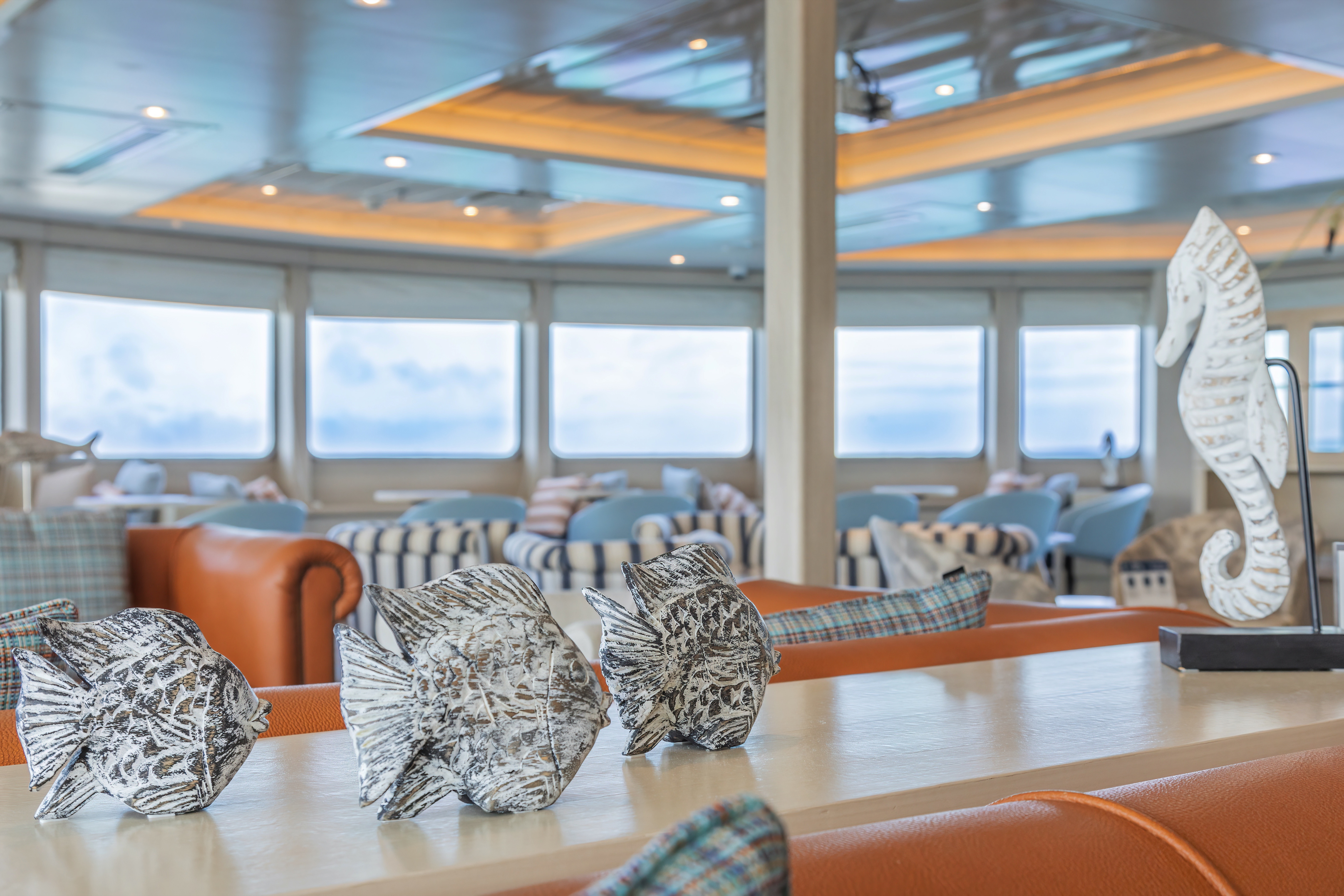 Santa Cruz II - Expedition Lounge & Bar with Science Corner and Library